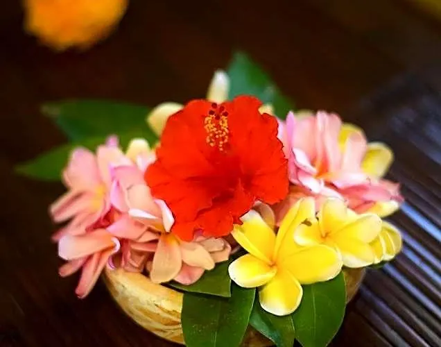 Rumah Ganesha Bed & Breakfast Ubud