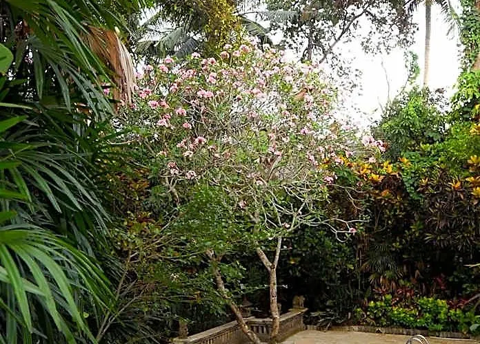 Bed & Breakfast Rumah Ganesha